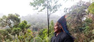 O programa de reflorestamento do Instituto Zág ajudou a salvar a árvore sagrada Zág do Brasil, que possui valor nutritivo, espiritual, ancestral, medicinal e terapêutico