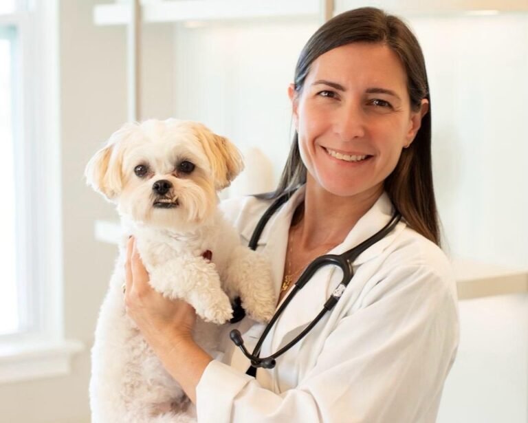 Mercado pet de alta complexidade: como especialidades veterinárias estão redefinindo padrões de atendimento