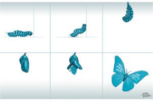 Imagem ilustrada em tons de azul sobre fundo branco, organizada em seis quadros, como uma sequência narrativa. No primeiro quadro, à esquerda, aparece uma lagarta azul, vista de perfil, rastejando sobre uma linha que representa o chão. Seu corpo é segmentado e levemente arqueado. No segundo quadro, a lagarta começa a se erguer, levantando a parte frontal do corpo, sugerindo movimento e transformação. No terceiro quadro, a lagarta está suspensa no ar, curvada, indicando o início da metamorfose. No quarto quadro, na linha de baixo à esquerda, surge um casulo azul, pendurado, fechado e imóvel. No quinto quadro, o casulo começa a se abrir, revelando partes internas e sinais de mudança. No sexto e último quadro, à direita, aparece uma borboleta azul de asas abertas, em posição de voo. Nas asas há palavras escritas em branco, formando a expressão REFORMA TRIBUTÁRIA. A borboleta transmite leveza e movimento. No canto inferior direito da imagem, há a assinatura do artista: Amarildo. A sequência visual representa simbolicamente um processo de transformação, da lagarta à borboleta.