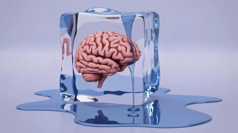 Alunos em resposta congelada: tudo o que você precisa saber