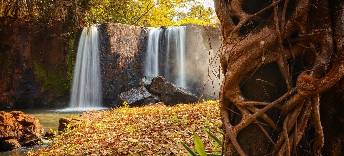 media:entermedia_image:c0091ac2-0249-4b63-95ff-54faa9874d9b