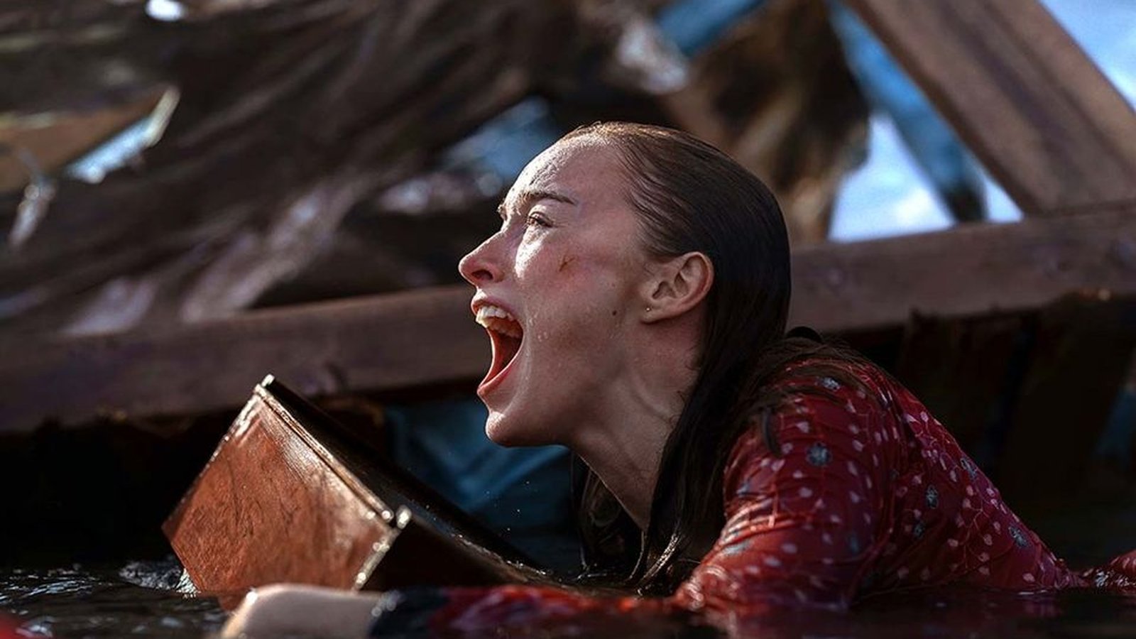 180, Perfil Falso e mais! 10 filmes e séries em alta para ver na Netflix no fim de semana (24)