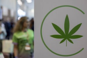 O mercado de cannabis medicinal ganha corpo no país conforme a Anvisa amplia a regulação