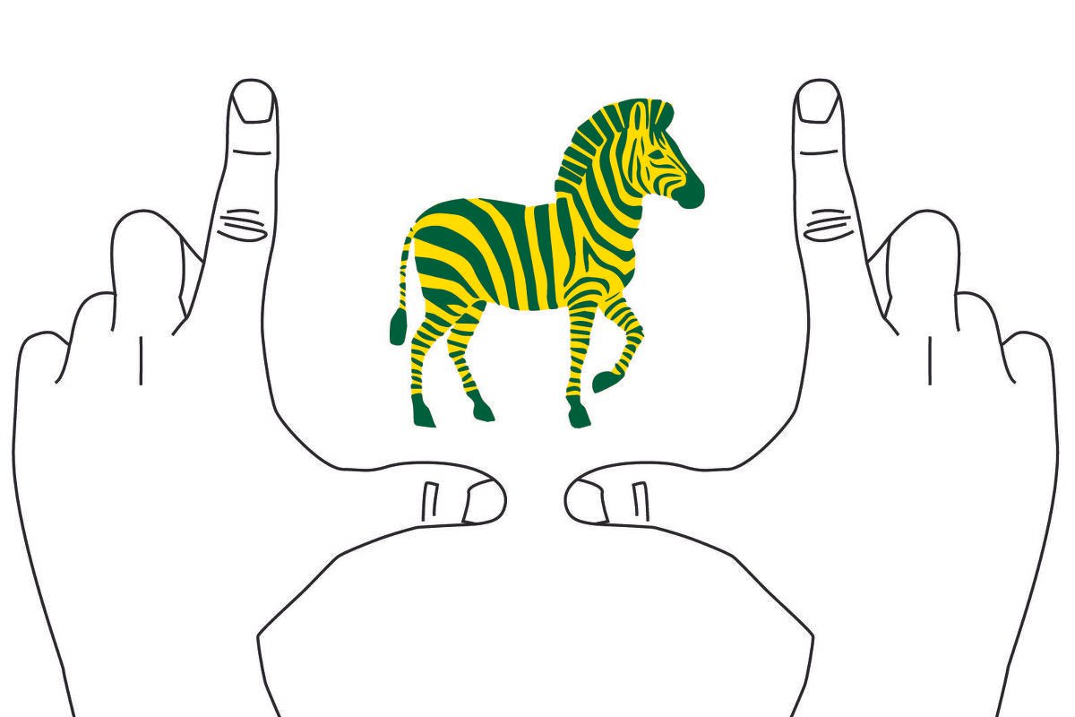Duas mãos enquadrando uma zebra verde e amarela.