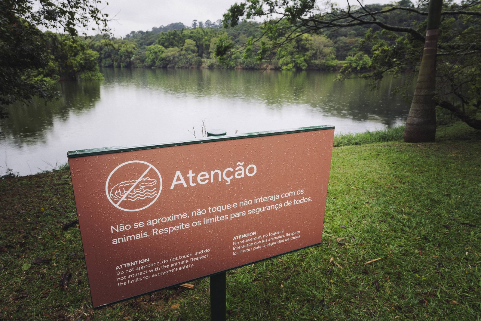 Placa marrom com texto em português e inglês alerta para não se aproximar, tocar ou interagir com animais, em área gramada próxima a lago cercado por árvores e vegetação densa.