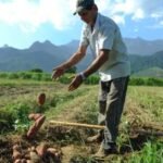 "Super El Niño" deve deixar marcas no campo e na cidade