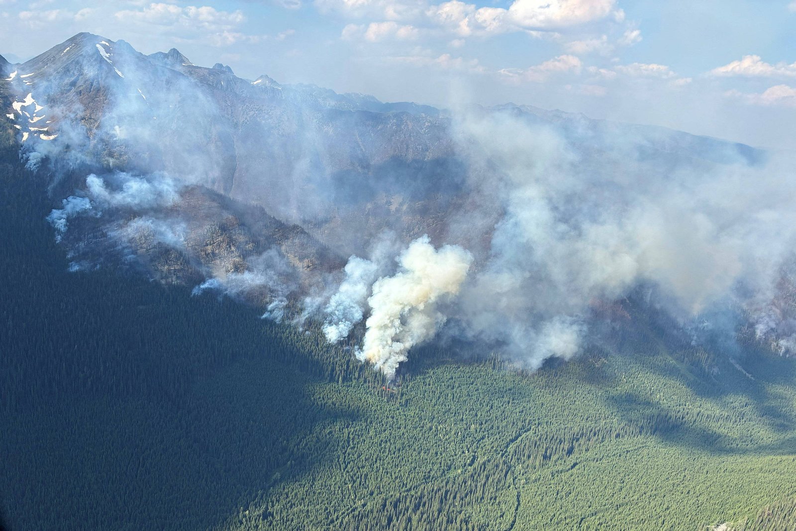 Fumaça branca e cinza sobe de um incêndio em uma densa floresta próxima a montanhas com picos nevados ao fundo. O fogo está concentrado em uma área da vegetação verde escura.