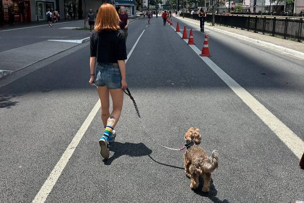 Pessoa de cabelos ruivos, camiseta preta e shorts jeans caminha com cachorro pequeno na Avenida Paulista, em São Paulo, em dia ensolarado. A via está parcialmente fechada para veículos, com cones delimitando a faixa, e prédios altos cercam a rua.