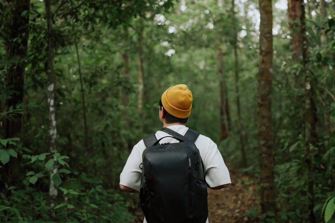Pessoa de costas usando camiseta branca, mochila preta e gorro amarelo caminha por trilha cercada por árvores e vegetação densa.